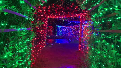 Entrada-Al-Túnel-De-Miles-De-Luces-Navideñas