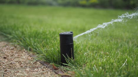 watering a lawn with a sprinkler