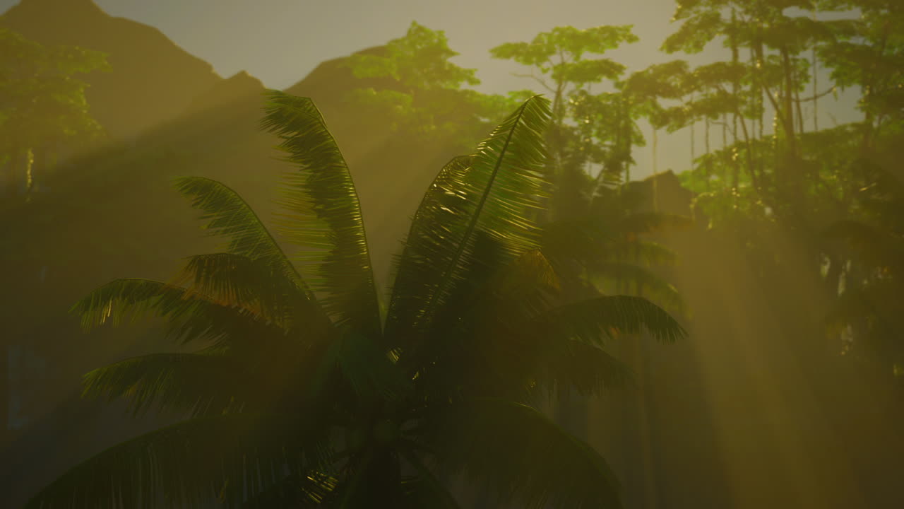 una hermosa escena de la selva con palmeras y niebla