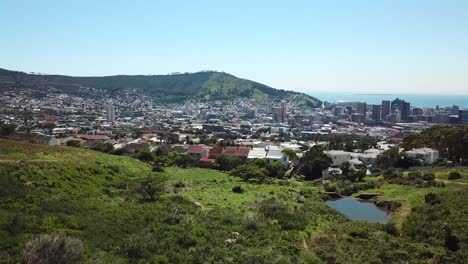 toma de drone de forrest revelando la ciudad de ciudad del cabo