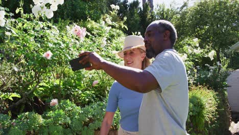 pareja mayor diversa en su jardín mirando plantas y hablando en el sol