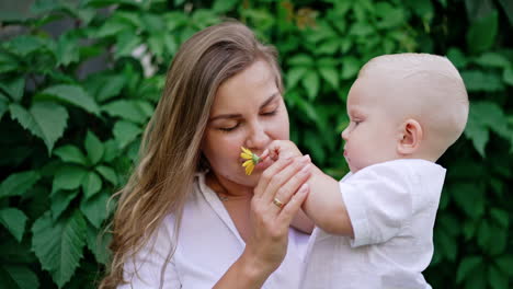 smiling long-haired woman holding a little blond baby boy. little kid holds a flower in hand and gives it to his mom to smell.