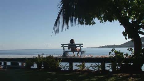 Stock-Footage-Einer-Tropischen-Insel