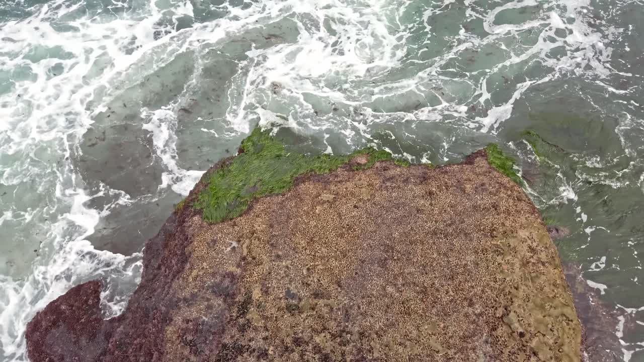 Blue ocean waves flowing on a big herbal rock