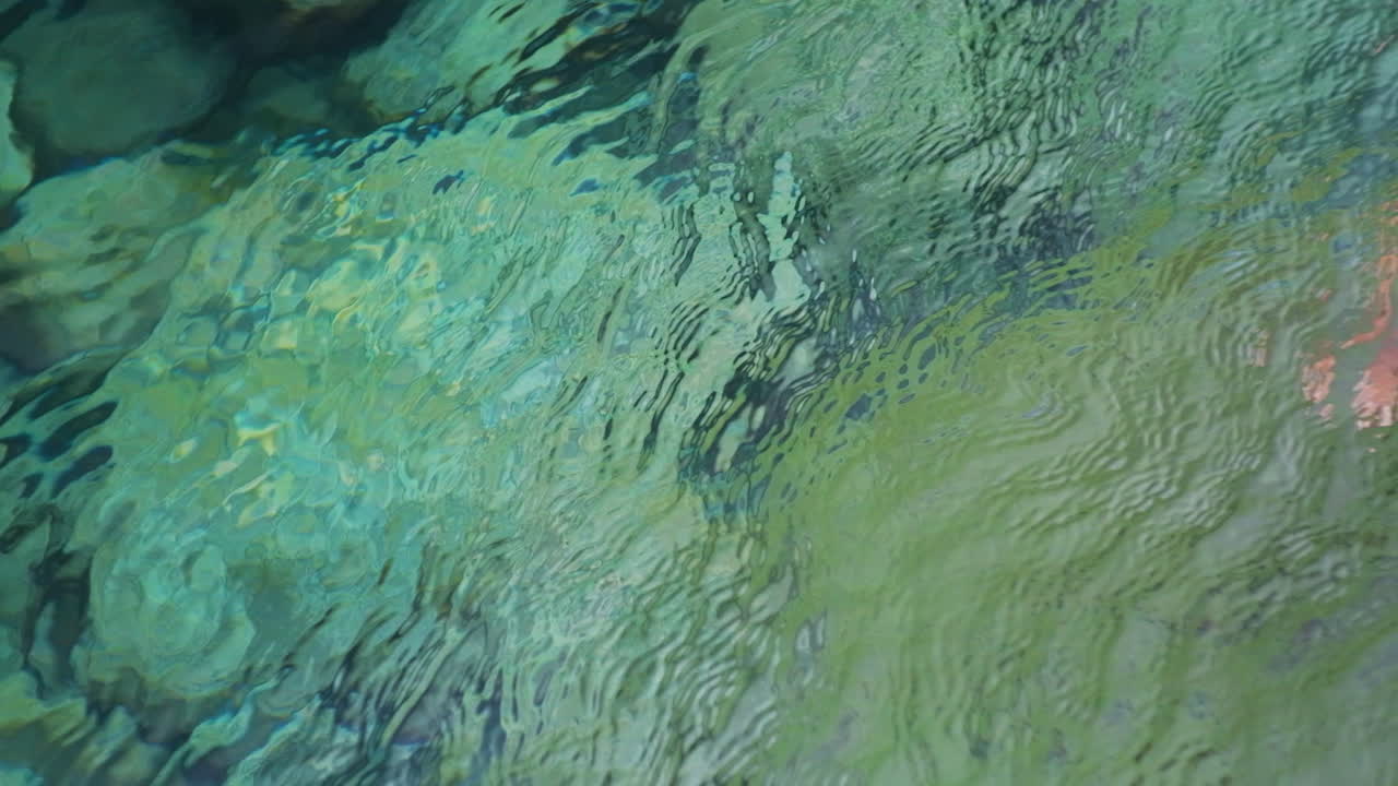 맑은 바위 웅덩이에서 수영과 플로트