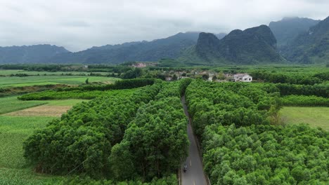 vista aérea de 4k de las montañas con un impresionante pasaje en el desfiladero de las montañas entre los poderosos acantilados cubiertos de árboles y vegetación