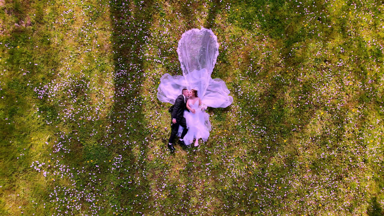 A newlywed couple lies close together on a wildflower-dotted grassy field, with the bride’s veil fanned out like a heart beneath soft spring shadows