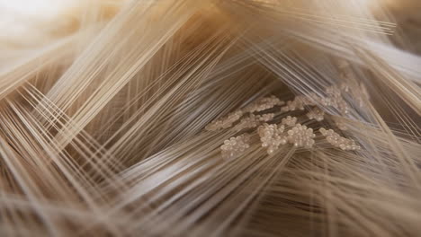macro view of delicate strands and organic clusters