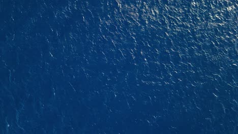 vibrant blue caribbean waters, drone top down nature background with glistening ripples