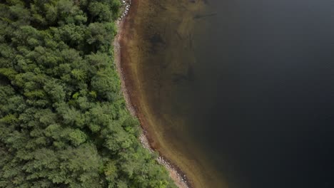 Aerial-overhead-along-the-shore-of-the-Nisser-lake,-Treungen,-Telemark,-Norway