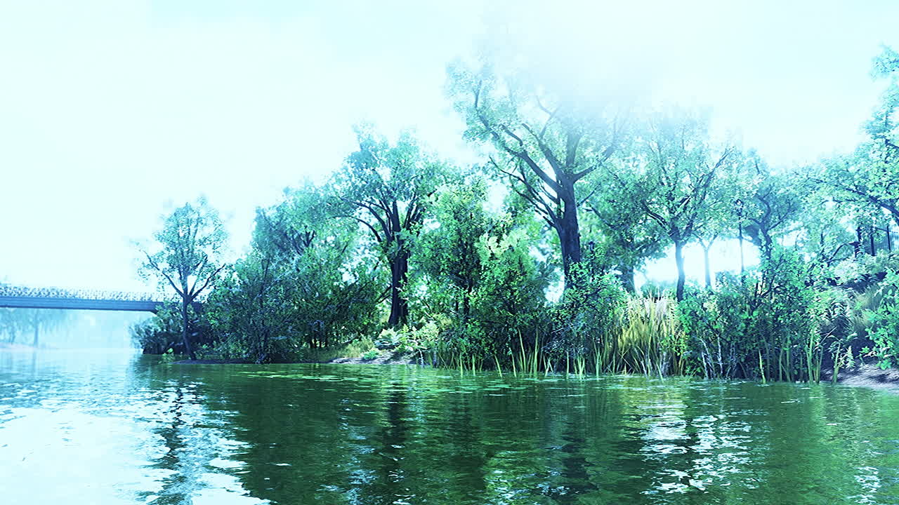 여름 녹색 숲 연못 풍경