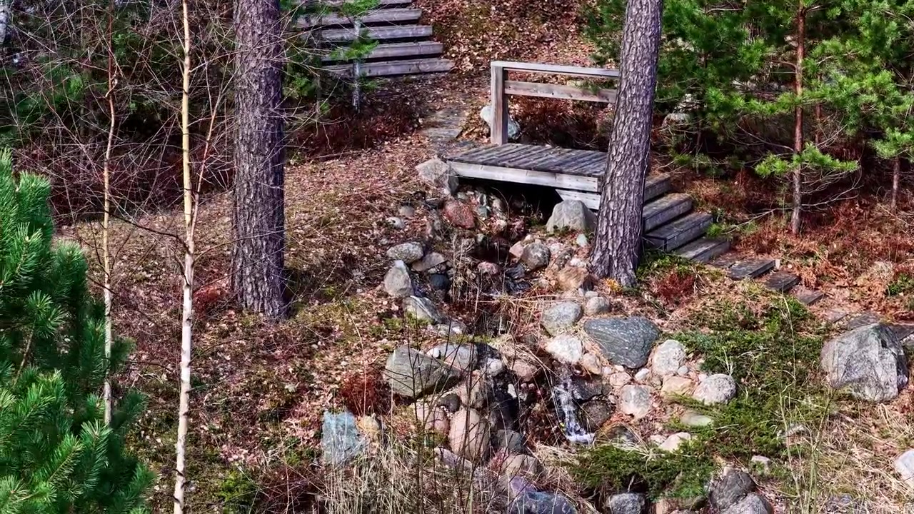 Pieni puro virtaa kivien yli metsäisen maiseman läpi, jossa on portaita ja penkki.