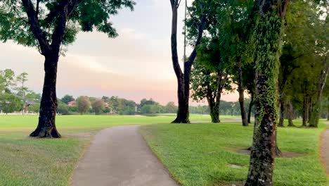 peaceful walk through trees at sunset