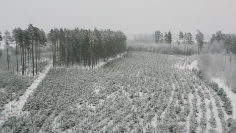 valdemārpils of latvia in the month of december