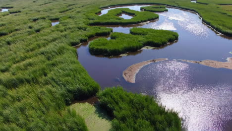 aerial view of a marsh ecosystem
