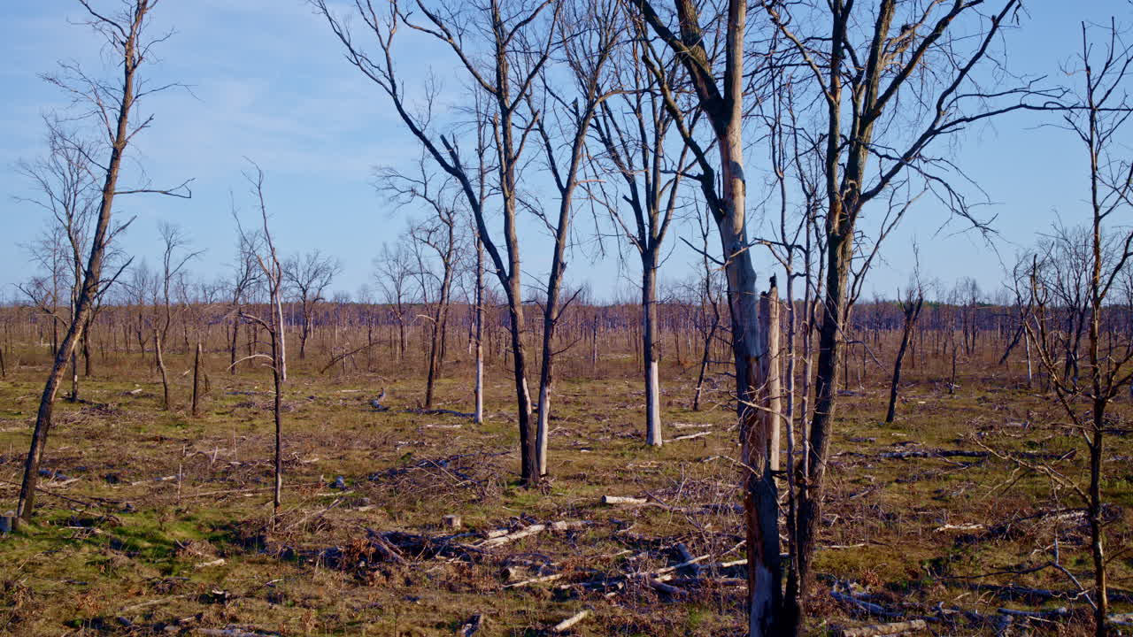 대형 산불 피해 지역의 무인기 영상입니다.