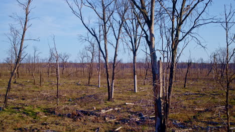 imágenes aéreas de drones de una gran área dañada por incendios forestales.