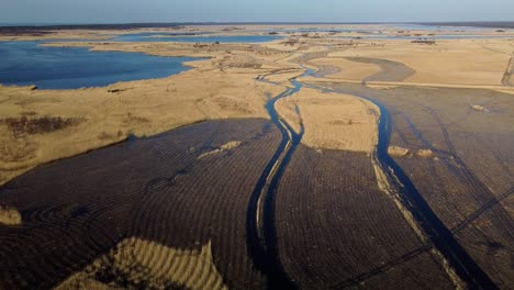 aerial view of the lake overgrown with brown reeds, lake pape nature park, rucava, latvia, sunny spring day, wide angle drone shot moving forward, high altitude birdseye view