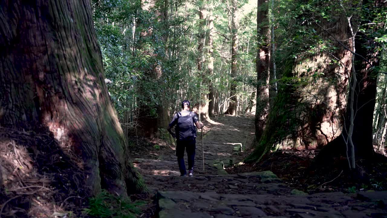 Soloe Hiker walking down stone steps of the Kumano Kodo Daimonzaka trail in Nachikatsuura, Japan