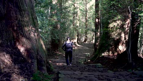 soloe hiker walking down stone steps of the kumano kodo daimonzaka trail in nachikatsuura, japan