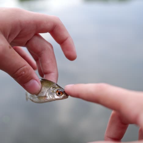woman to regret fish