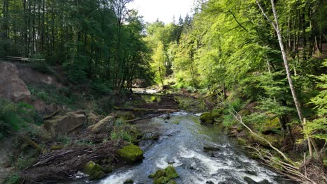 flowing running creek, water river in germany. aerial drone video