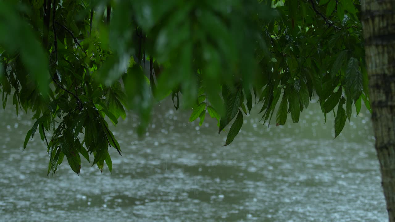 Due to the influence of the southwest monsoon, various parts of India experience heavy rainfall during the monsoon season