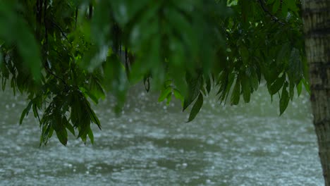 due to the influence of the southwest monsoon, various parts of india experience heavy rainfall during the monsoon season