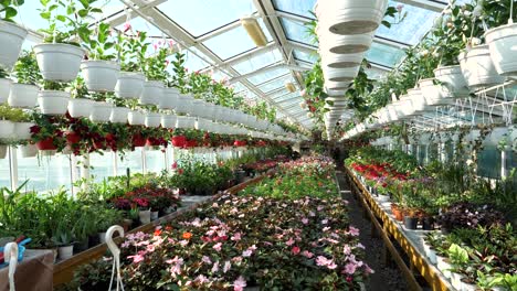 flowers and plants at a large garden store slow motion