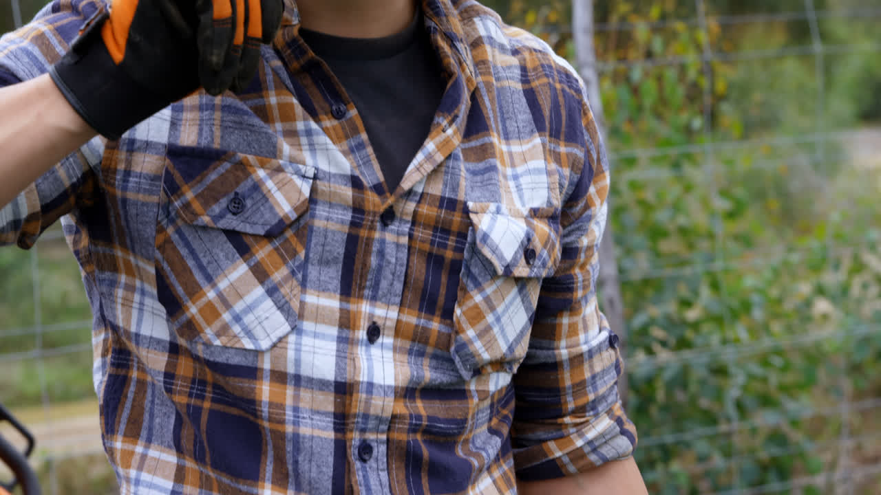 포레스트 4k에서 하드 ⁇ 을 입은 나무 ⁇