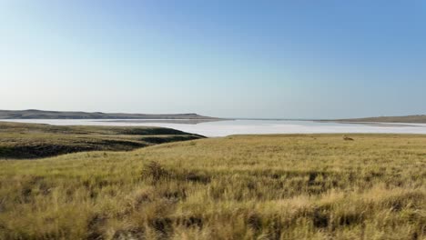 serene salt lake in a vast grassland