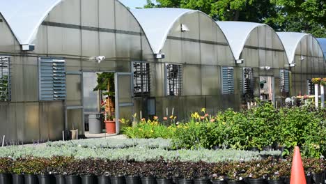 row of greenhouses next to garden flowers on a sunny day