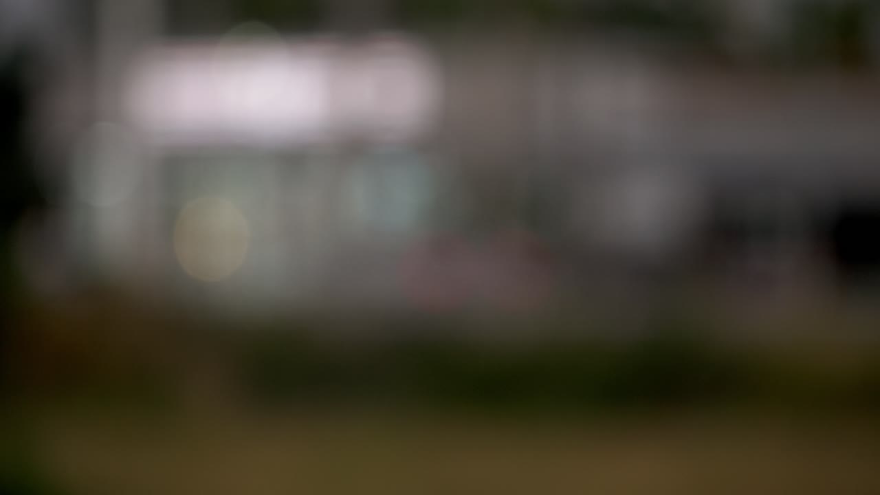 Experience calming beauty of nature's foliage in stunning blurred bokeh