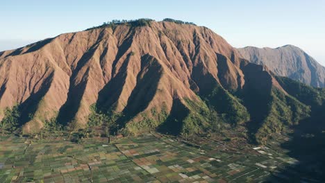 aerial of famous pergasingan hill in lombok with sembulan rice fields