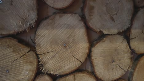 Panning-shot-across-sliced-tree-trunks-on-cafe-bar