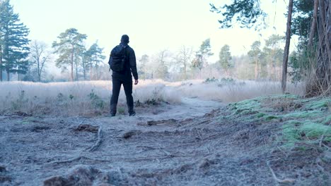 una caminata fría por la mañana en el bosque