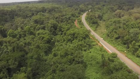 Siguiendo-Caminos-A-Través-De-La-Selva-Africana