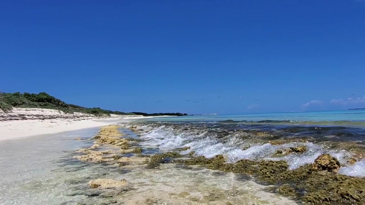 Tilt down revealing shallow tropical sea waves washing over rocky coral shorelines. Pristine Caribbean beach clear sea water texture