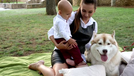 family, attractive baby in suit on hands of young mom near dog on green grass at park