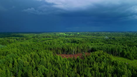 Drone-Aéreo-Hacia-Adelante-Disparado-Sobre-Una-Parcela-Cortada-En-Medio-De-Un-Bosque-Alpino-En-Un-Día-Nublado