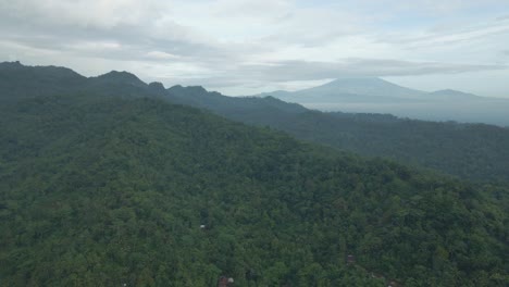 Aerial-view-of-mixed-forest-on-the-hills-with-cloudy-sky