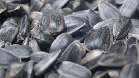 Sunflower Seeds Rotate in a Circular Motion Macro Video Sunflower Seeds Rotate in a Circular Motion Macro Video