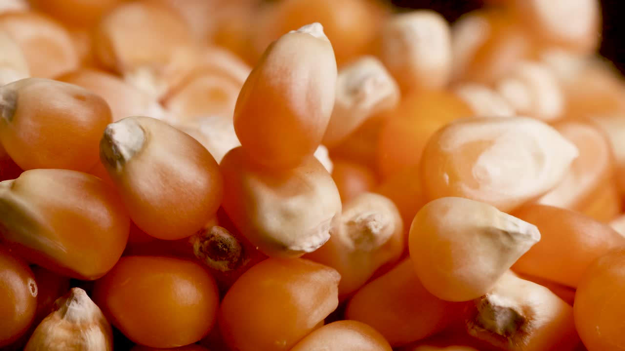 Macro video captures popcorn kernels falling in slow motion against a dark background, highlighting texture and movement