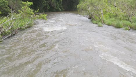 vista aérea de un río que fluye y una vegetación exuberante