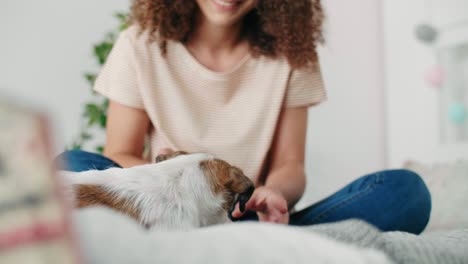 Teenager-Mädchen-Und-Ihr-Hund-Im-Schlafzimmer