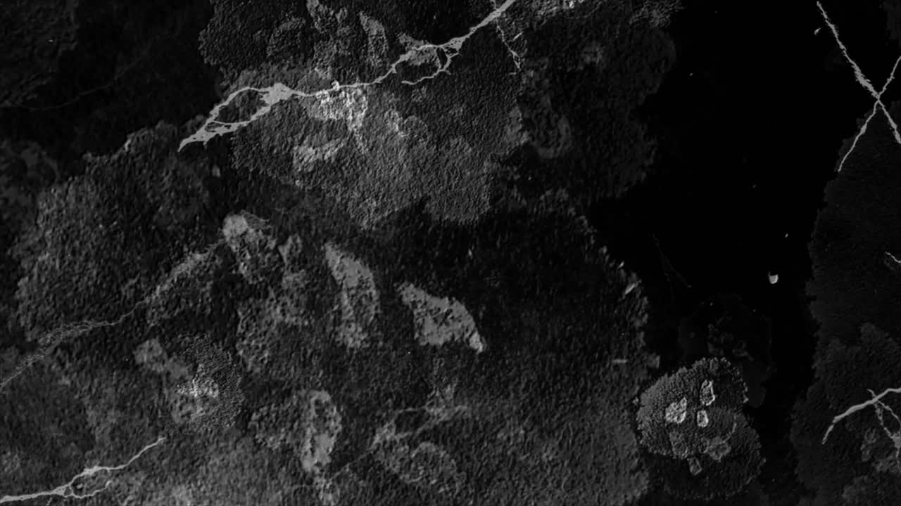 Texture grunge astratta in bianco e nero con crepe in movimento.