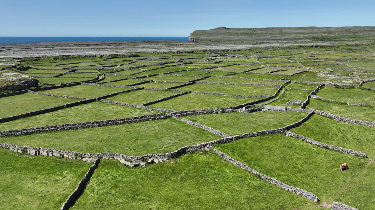sobrevuelo de antiguo sistema de campos y exuberantes pastos en las islas de arán más al oeste de irlanda
