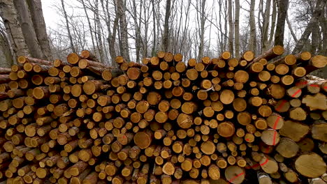 Pile-of-logs-after-tree-felling-in-woods-for-timber-trade,-Warmia,-Poland