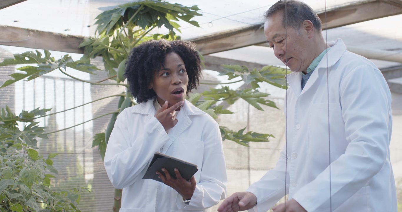 Diverse coworkers in lab coats consulting tablet and inspecting plants in greenhouse logging data