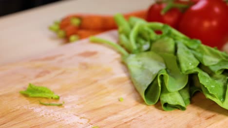 hand slicing vegetables with tomatoes in background